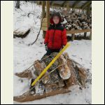 Wood sled