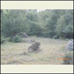 AFTER; Cabin Pad area cleared of brush.  (1 of 3 natural shelves on the hill)